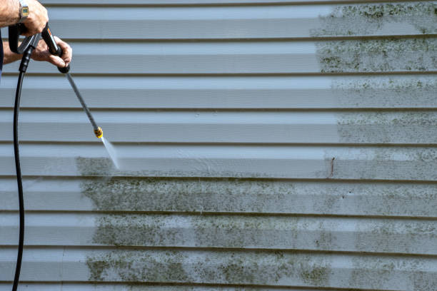 Affordable siding repair and maintenance services in Palmetto, GA